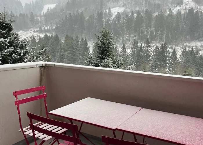 Apartmán Des Quiches Lorraines La Bresse